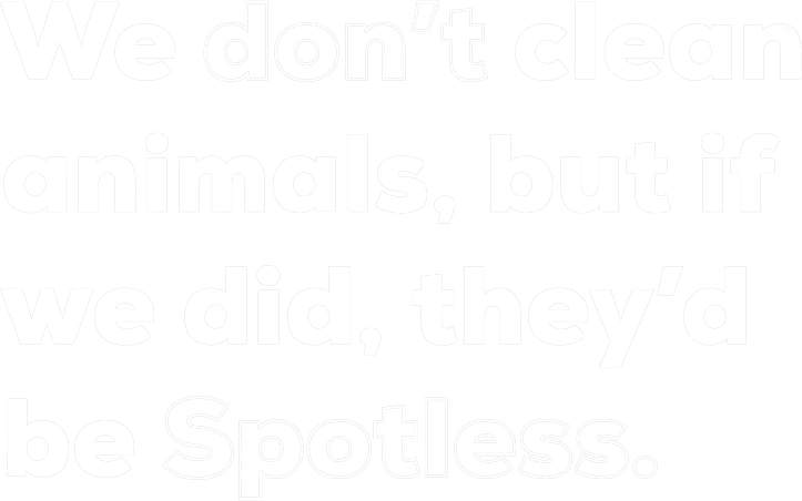 Spotless UK commercial cleaning Blackpool, Preston and North West. The best commercial cleaners and builders cleaners. Spotless UK commercial cleaning blackpool